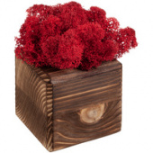 Декоративная композиция GreenBox Fire Cube, красный