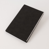 Ежедневник City New Standart недатированный, черный