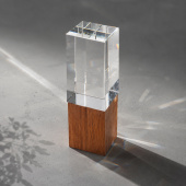 Награда Wood and glass (прозрачный, дерево)