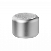 Беспроводная колонка Passion 80dB 600 mAh (Bluetooth 5.4), серебряная