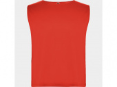 Спортивная безрукавка Ajax, унисекс (красный)