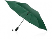 Зонт складной «Андрия», зеленый