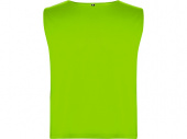 Спортивная безрукавка Ajax, унисекс (неоновый зеленый)