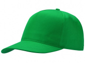 Бейсболка Poly (зеленый)