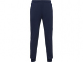 Брюки спортивные Rodas, мужские (navy)