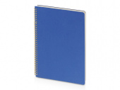 Бизнес-тетрадь А4 Pragmatic (синий)
