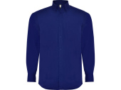 Рубашка Aifos мужская с длинным рукавом (голубой)