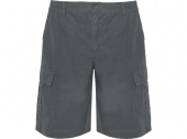 Шорты Armour, мужские (серый)