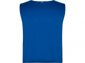 Спортивная безрукавка Ajax, унисекс (синий)
