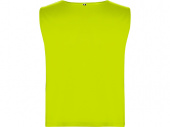 Спортивная безрукавка Ajax, унисекс (неоновый желтый)
