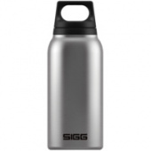 Термобутылка Hot & Cold 300, стальная