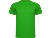 Спортивная футболка Montecarlo мужская (зеленый)