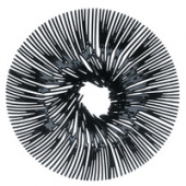 Блюдо для фруктов Anemone, черное
