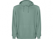 Толстовка с капюшоном Kenia, унисекс (зеленый выстиранный)