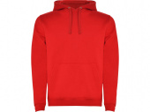 Толстовка с капюшоном Urban мужская (красный)