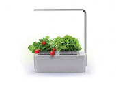 Компактный смарт-сад iGarden LED с подсветкой (серый, белый)