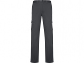 Брюки Daily Stretch, мужские (серый)