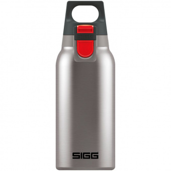 Термобутылка Hot & Cold One 300, стальная