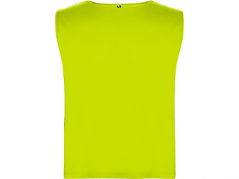 Спортивная безрукавка Ajax, унисекс (неоновый желтый)