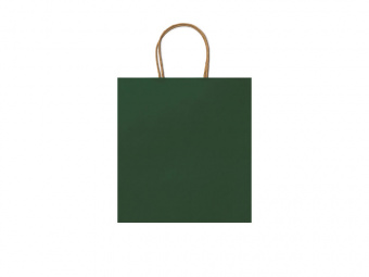 Пакет бумажный HAYA (зеленый)