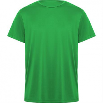 Спортивная футболка DAYTONA унисекс, ПАПАРОТНИКОВЫЙ S