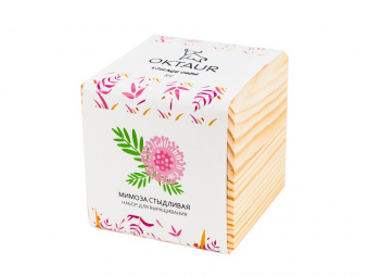 Набор для выращивания Big village cube Мимоза стыдливая (натуральный)