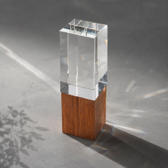Награда Wood and glass (прозрачный, дерево)