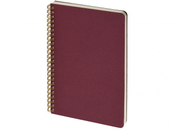 Бизнес тетрадь А5 Pragmatic (бордовый)