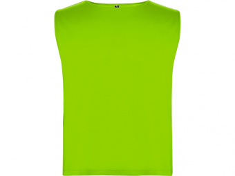 Спортивная безрукавка Ajax, унисекс (неоновый зеленый)