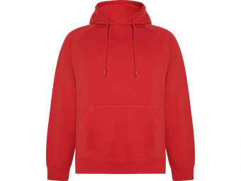 Толстовка с капюшоном Vinson унисекс (красный)