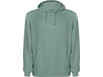 Толстовка с капюшоном Kenia, унисекс (зеленый выстиранный)