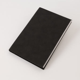 Ежедневник City New Standart недатированный, черный