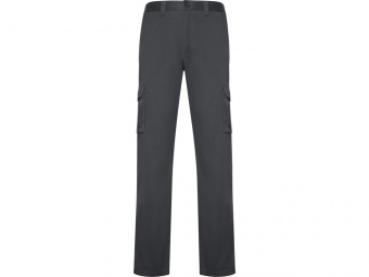 Брюки Daily Stretch, мужские (серый)