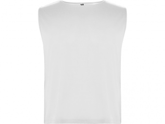 Спортивная безрукавка Ajax, унисекс (белый)