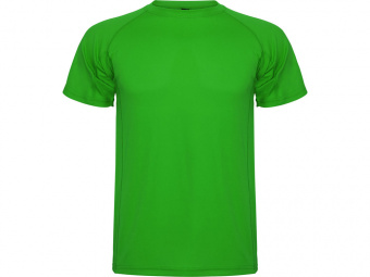 Спортивная футболка Montecarlo мужская (зеленый)