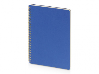 Бизнес-тетрадь А4 Pragmatic (синий)