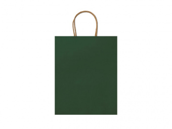 Пакет бумажный ARCE (зеленый)