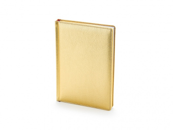 Ежедневник недатированный А5 Sidney Nebraska с золотым срезом (золотистый)