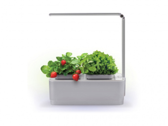 Компактный смарт-сад iGarden LED с подсветкой (серый, белый)