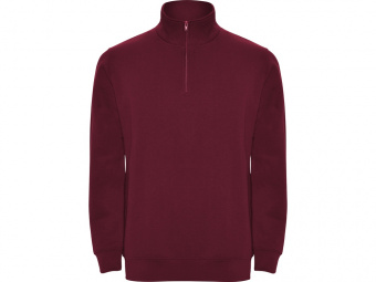 Свитшот Aneto мужской (бордовый)