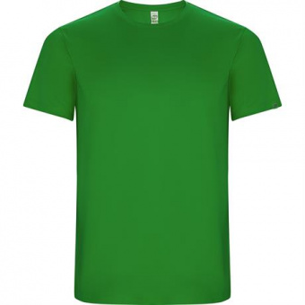 Спортивная футболка IMOLA мужская, ПАПАРОТНИКОВЫЙ S