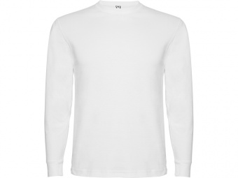 Футболка с длинным рукавом Pointer мужская (белый)