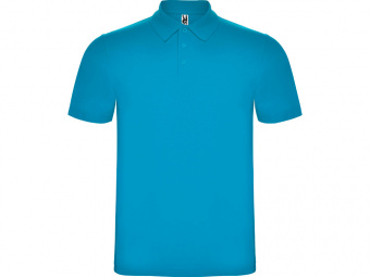 Рубашка поло Austral мужская (бирюзовый)