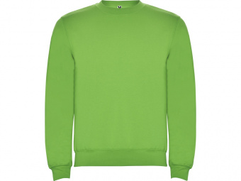 Свитшот с начесом Clasica детский (зеленое яблоко)