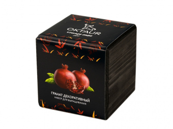 Набор для выращивания Small village cube Гранат комнатный (черный)