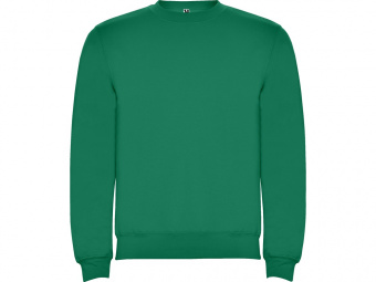 Свитшот с начесом Clasica детский (зеленый)