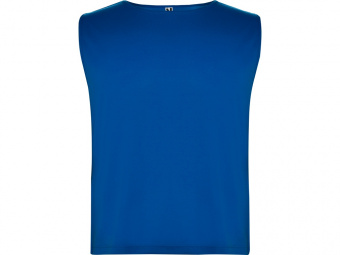 Спортивная безрукавка Ajax, унисекс (синий)