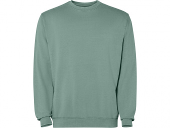 Свитшот Jaya, унисекс (зеленый выстиранный)