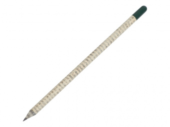 Растущий карандаш с семенами мяты (зеленый, белый, светло-серый)