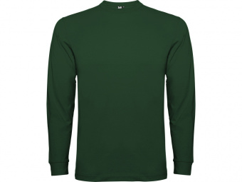 Футболка с длинным рукавом Pointer мужская (зеленый бутылочный )
